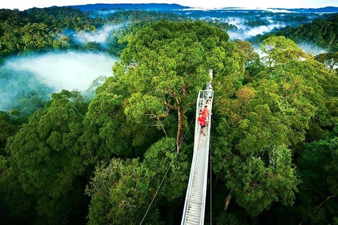 Monteverde